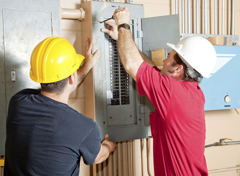 Electrician in Blenheim