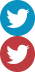 Twitter icon