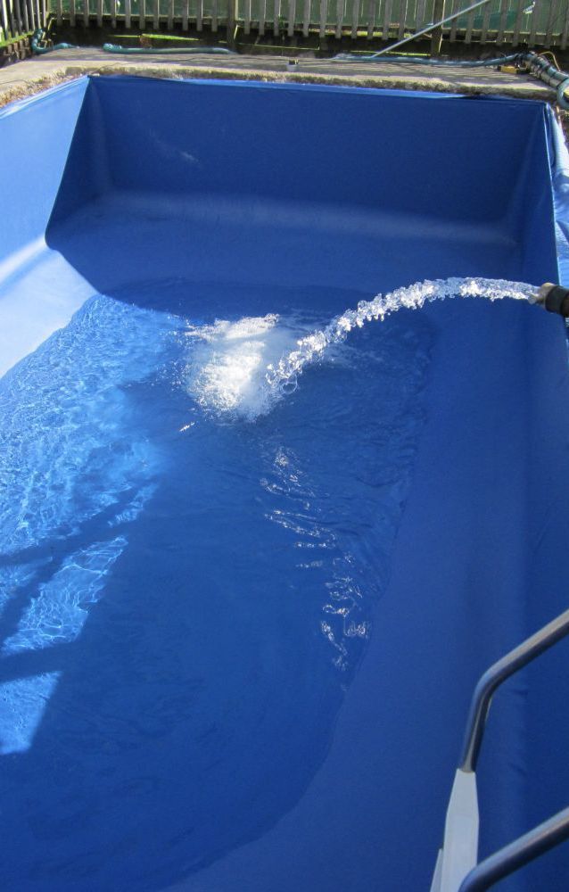 Pool with new pool fencing in Auckland