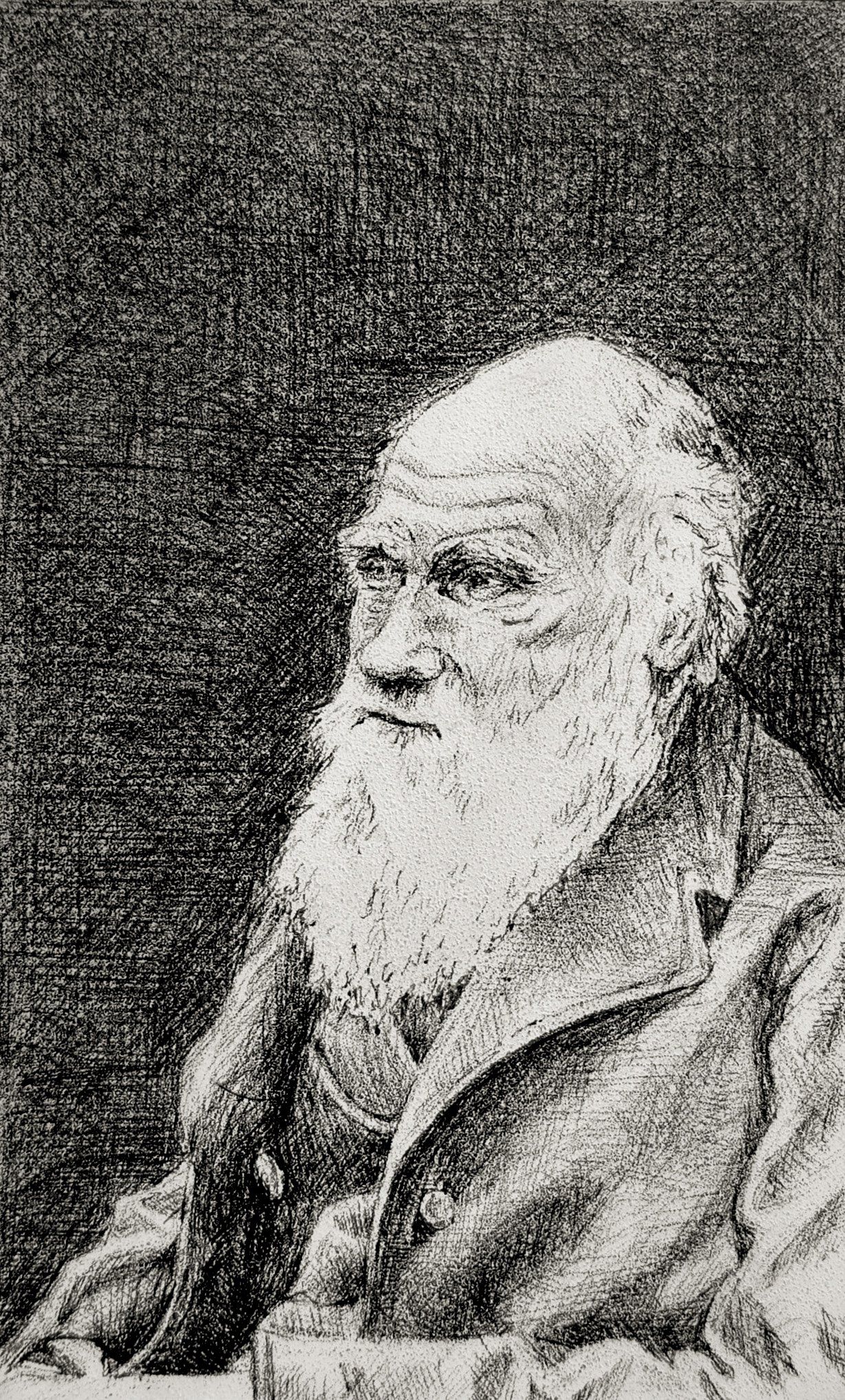 Charles Darwin, elderly man with long white beard, gazing thoughtfully.
