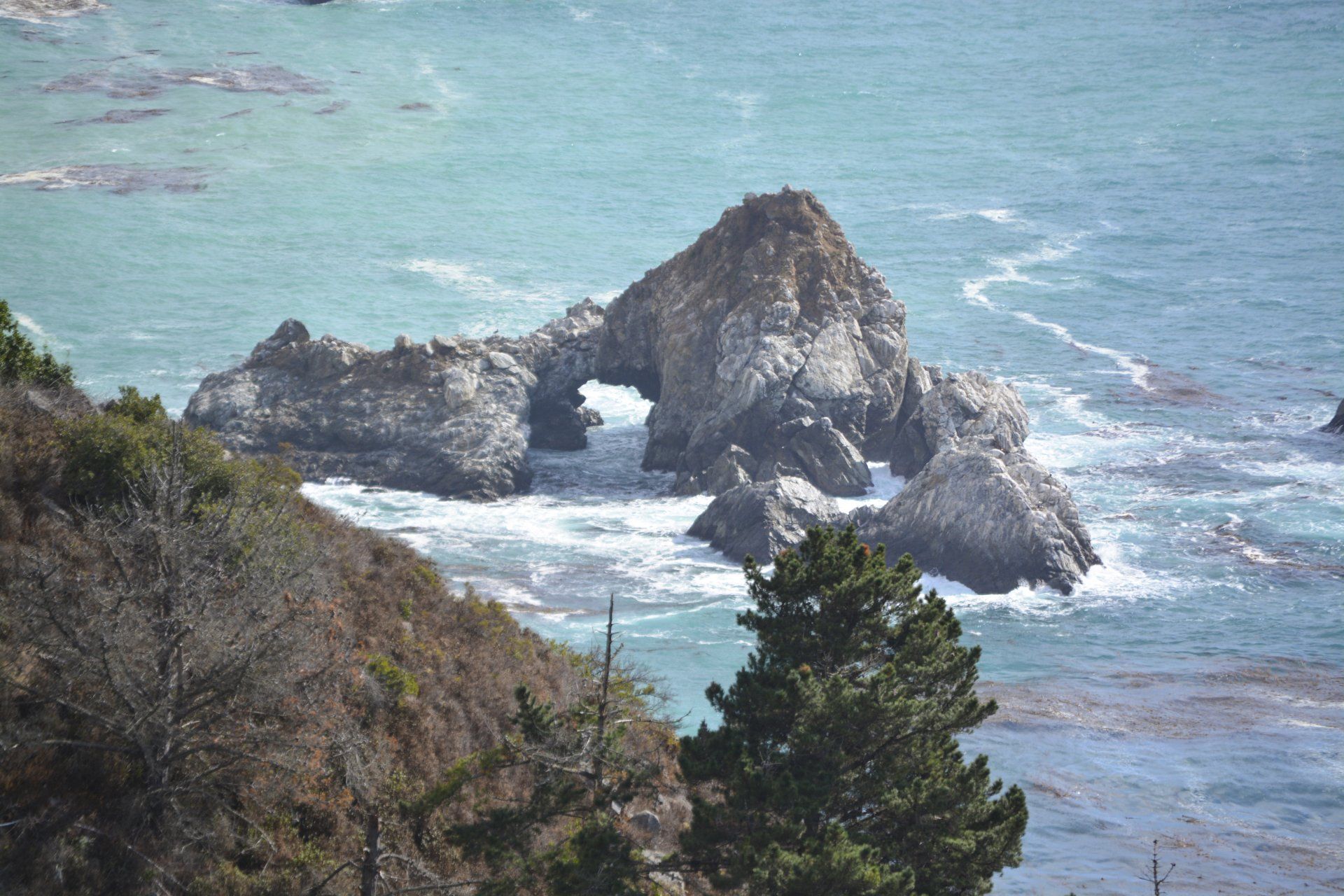 Rocky sea arch in turquoise water, with a brown hillside and evergreen tree in the foreground.