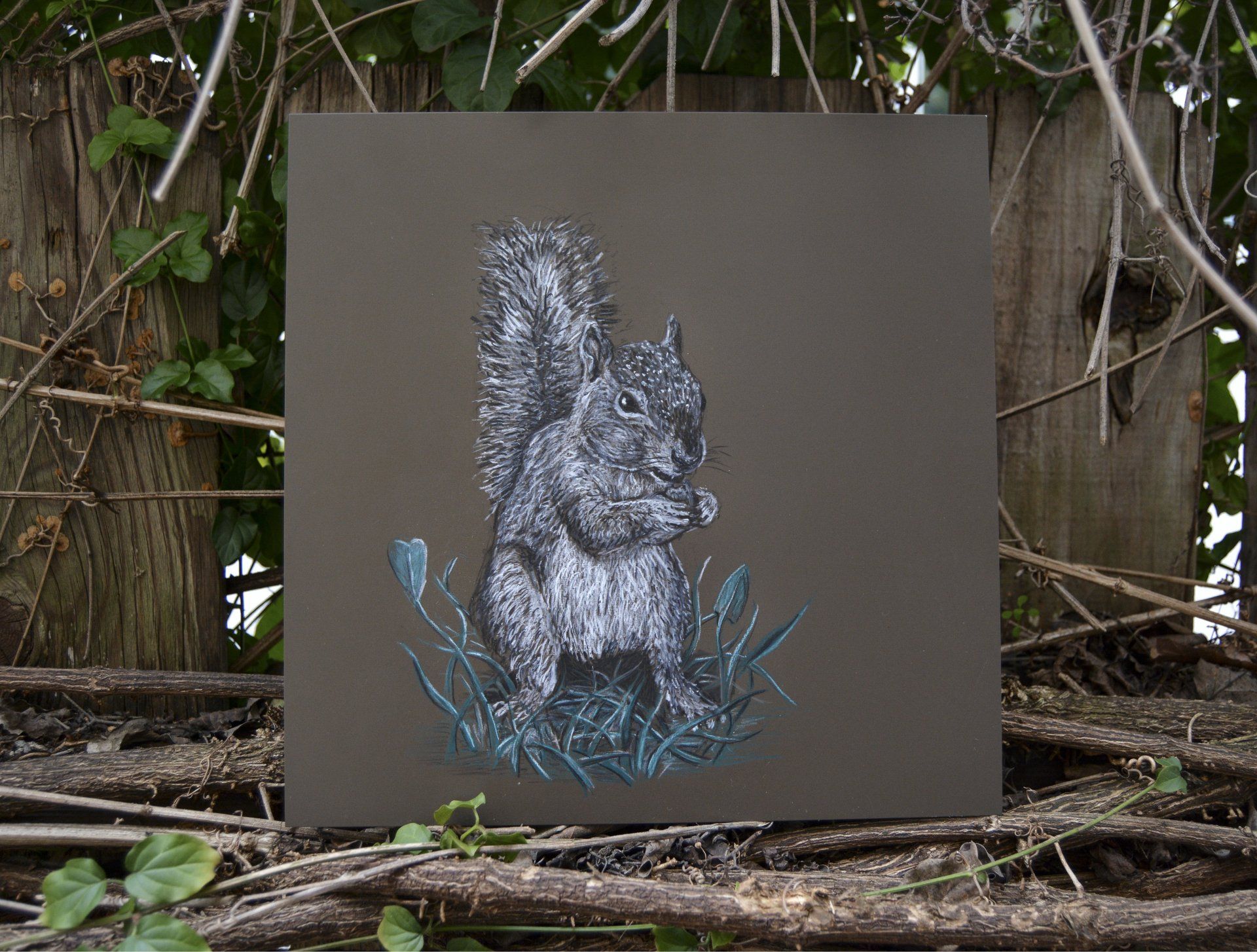 Drawing of a squirrel on a sheet of metal. The squirrel is grey, eating something, and surrounded by blue plants.