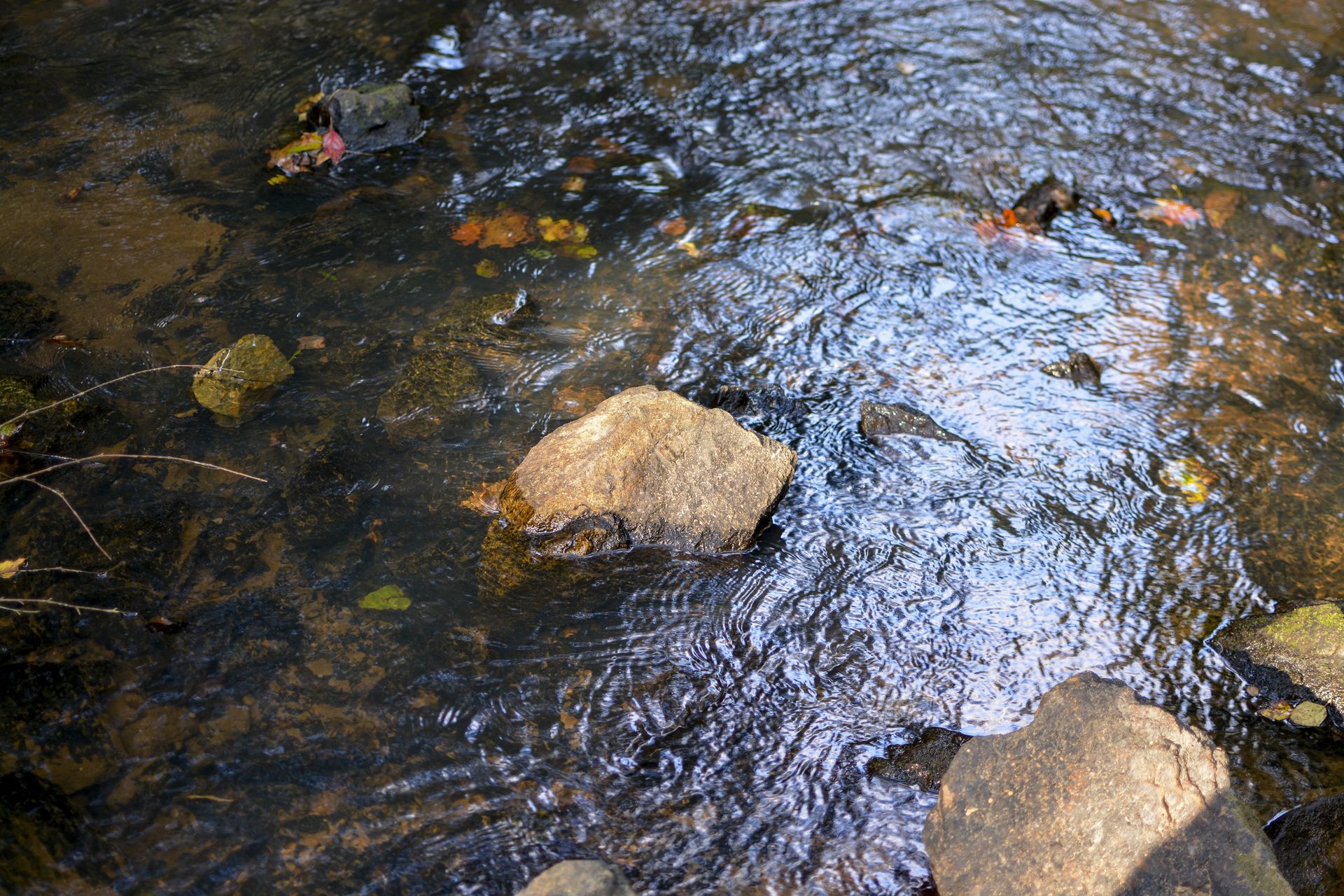 Water flowing over rocks in a stream; dark, clear water; sunlit, rippling surface.
