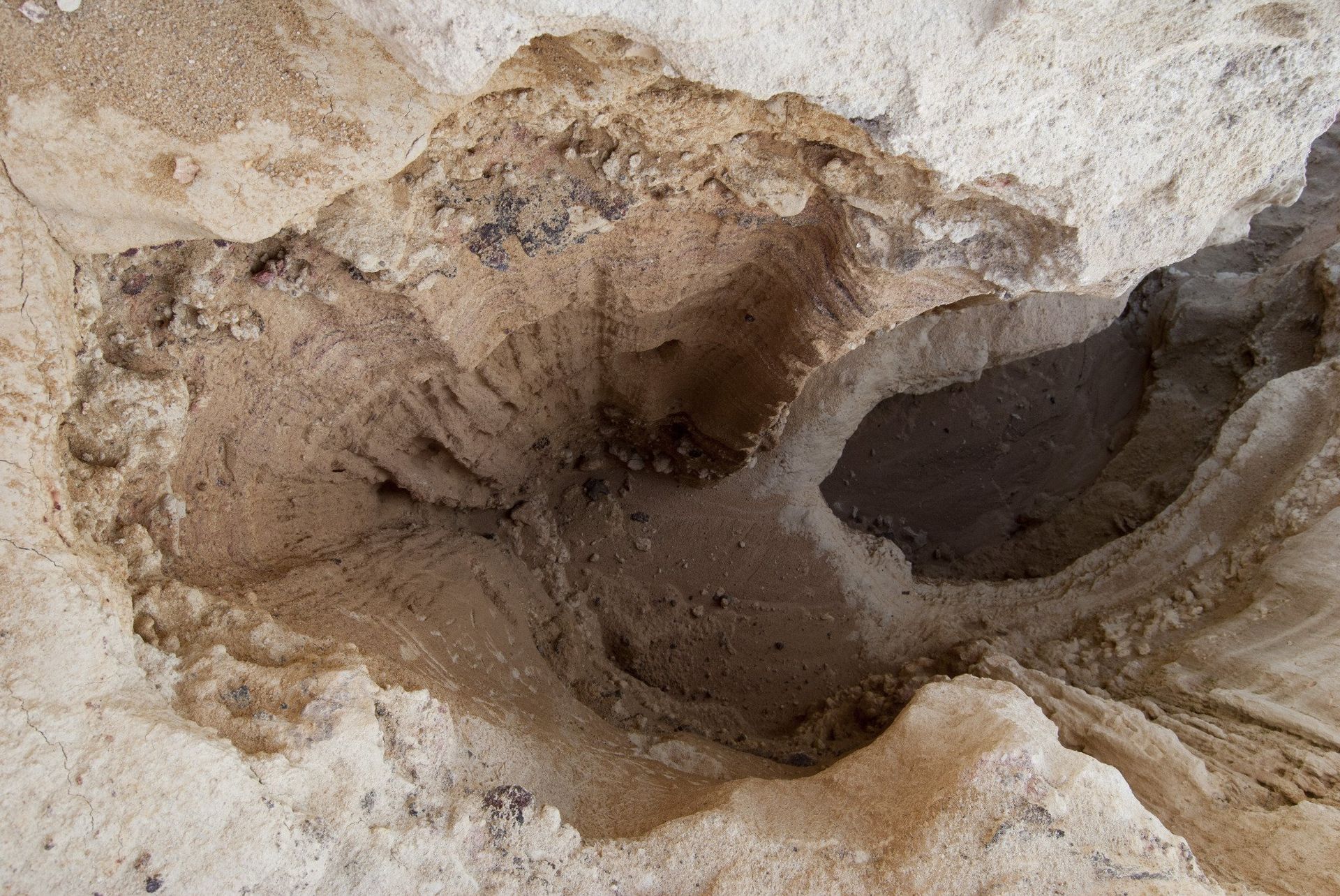 Close-up of a circular depression in tan and brown sandy material.