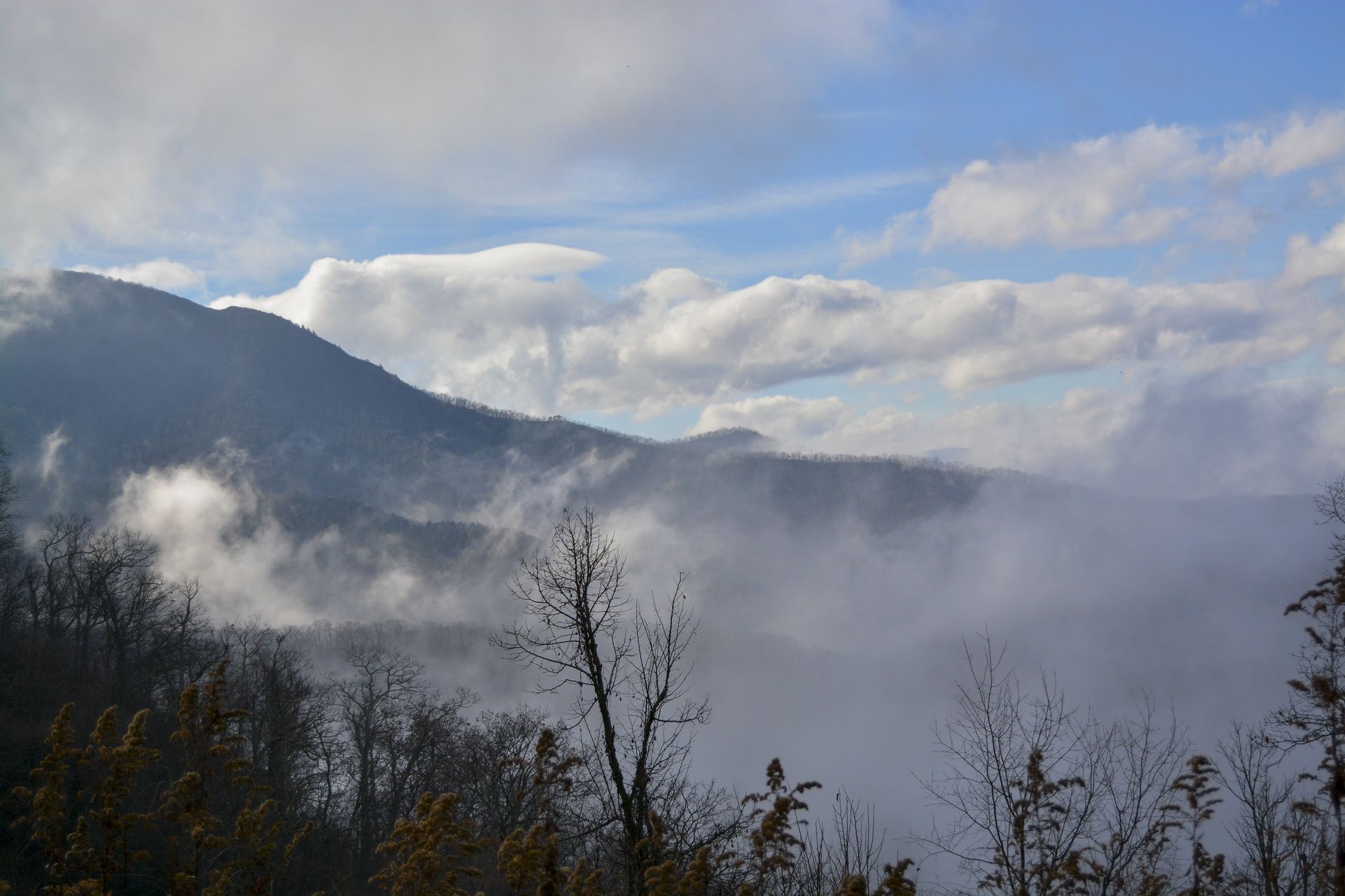 Mountains partially obscured by low-lying clouds under a blue sky. Bare trees in the foreground.
