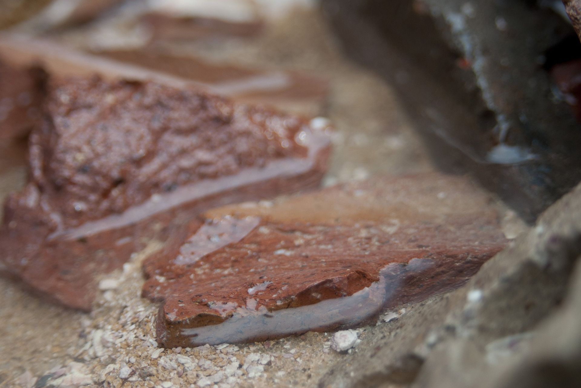Close-up of wet, red brick fragments with light-colored, sandy material surrounding them.