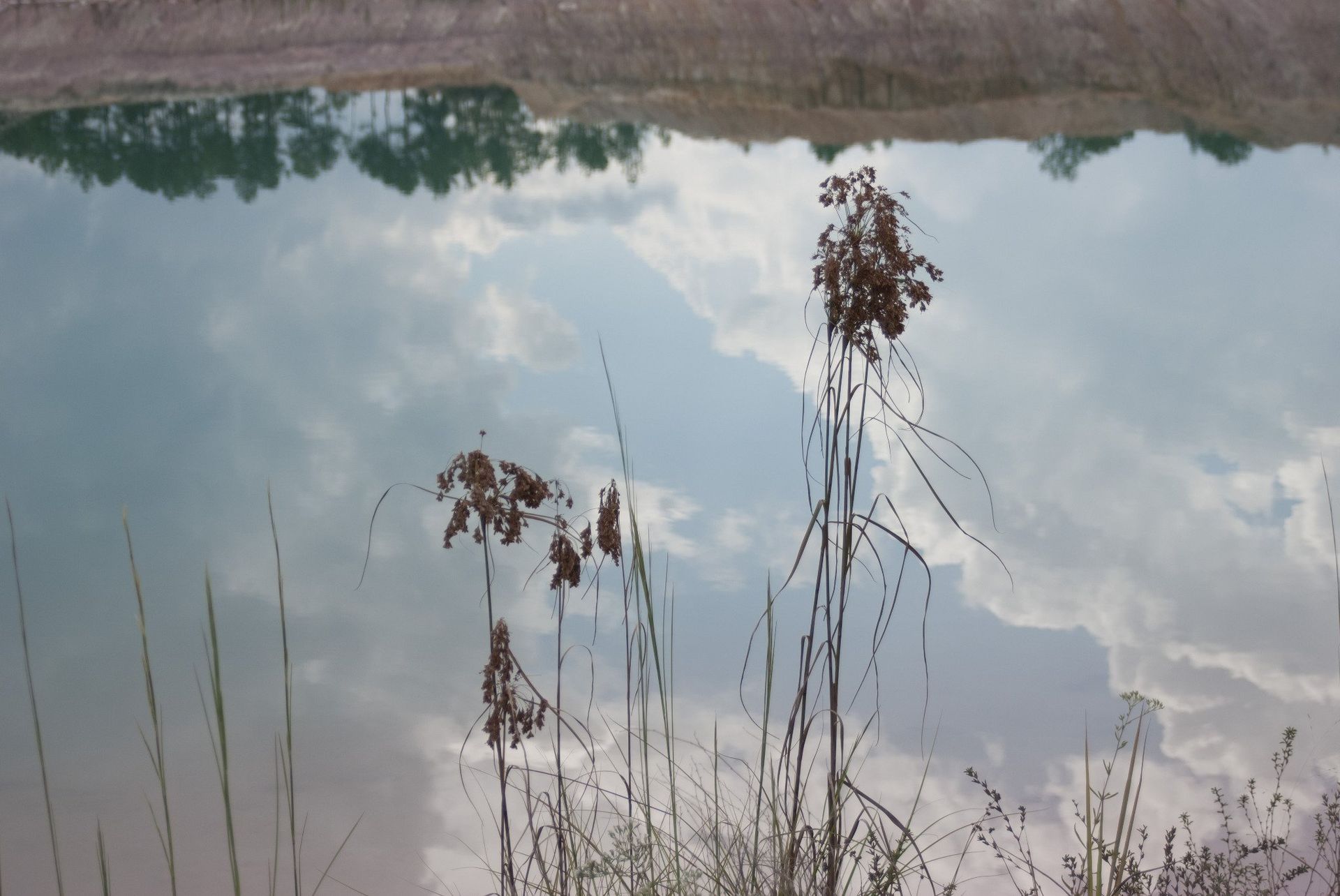 Reflective water surface with cloudy sky, dry reeds in foreground.