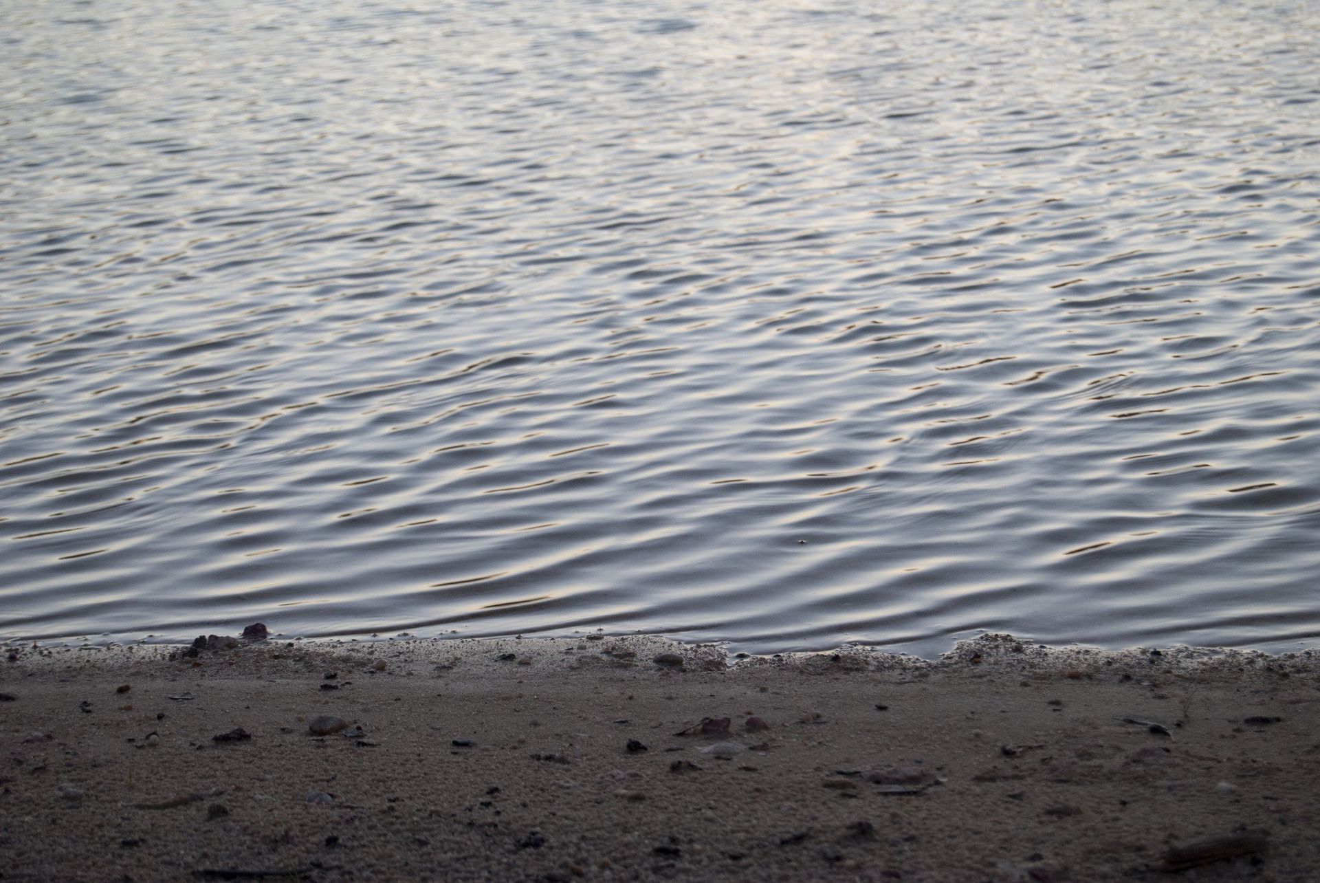 Water surface with small waves and a dark, sandy shoreline.