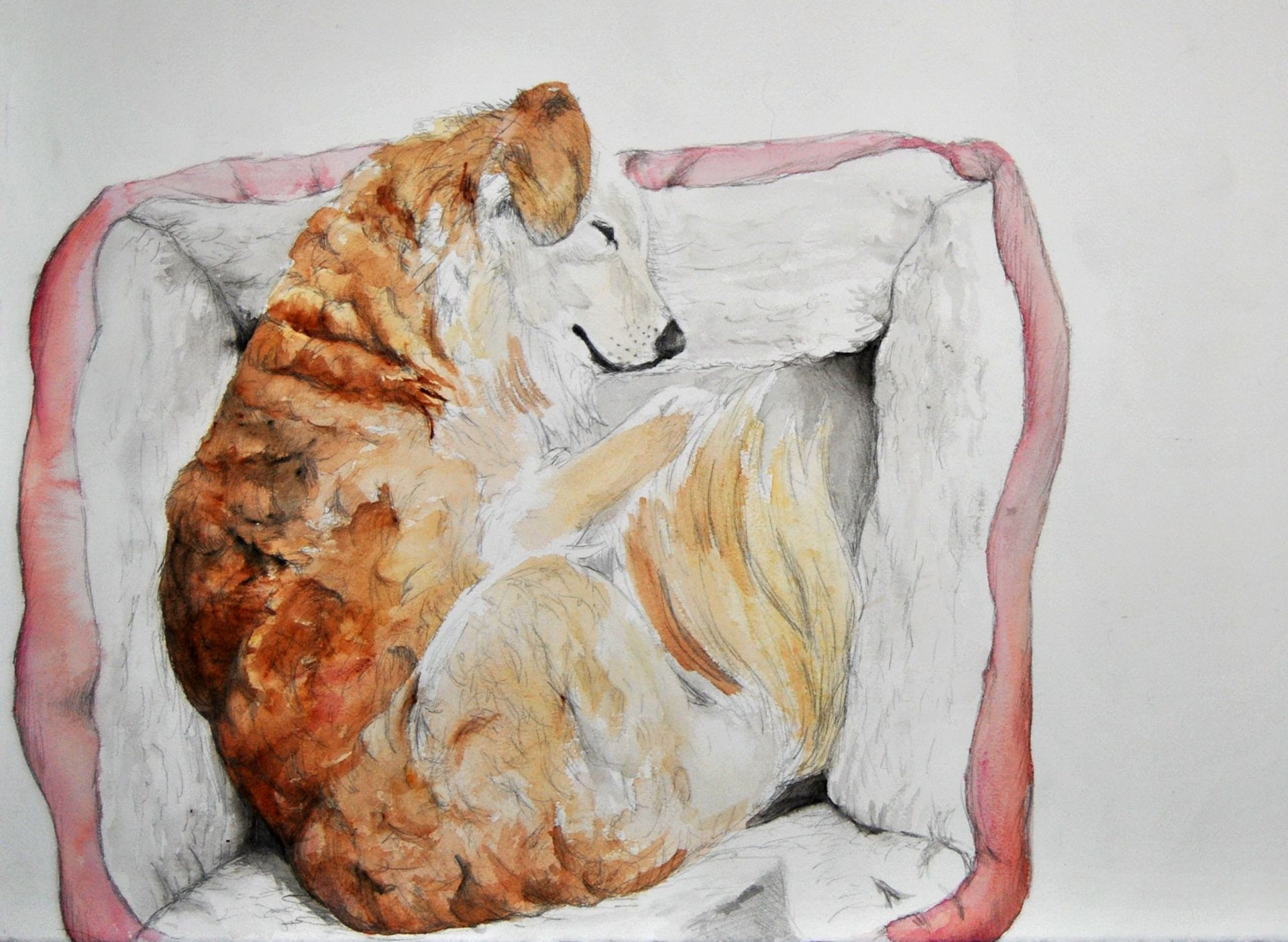 Golden-colored dog curled up asleep in a pink-edged dog bed.