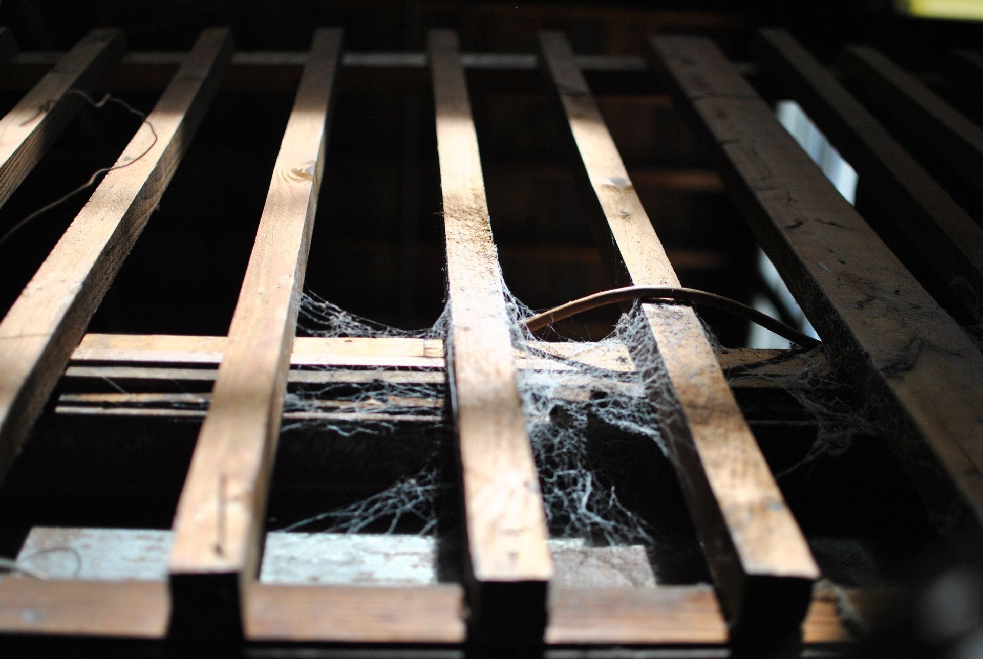 Wooden beams with spiderwebs and debris.