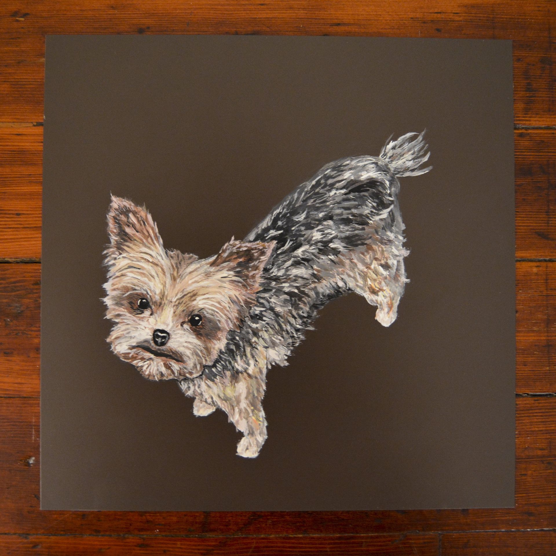 Yorkshire Terrier dog illustration on brown background.