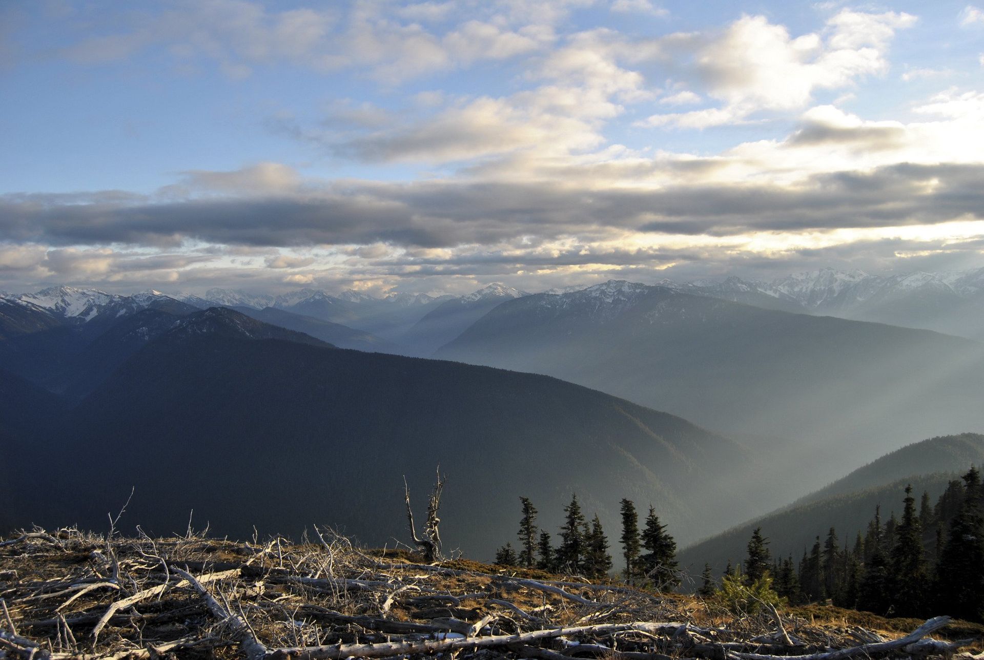Mountain landscape with layers of peaks under a cloudy sky, with some green trees in foreground.