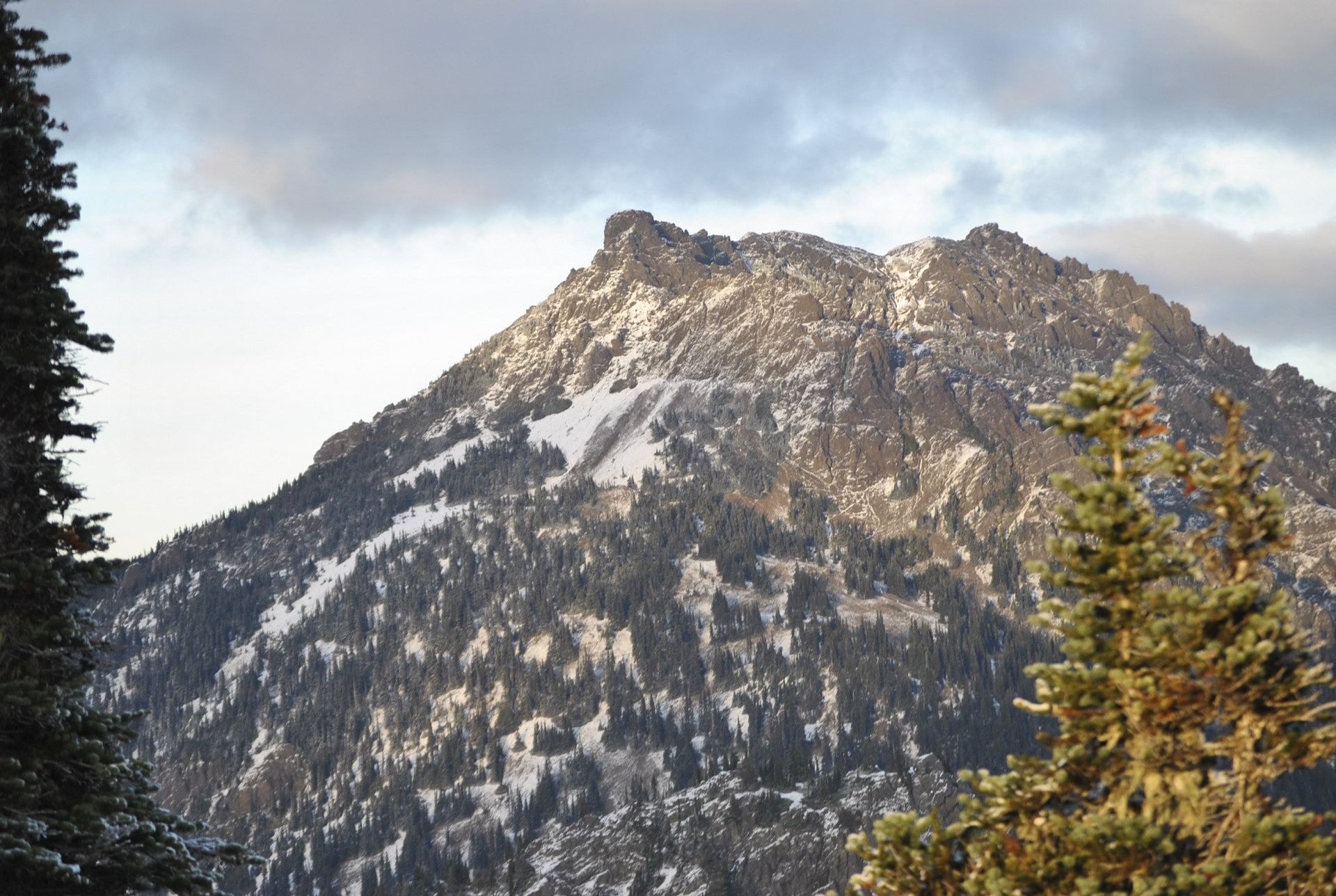 Snow-covered mountain peak with dark conifer trees, under cloudy sky.