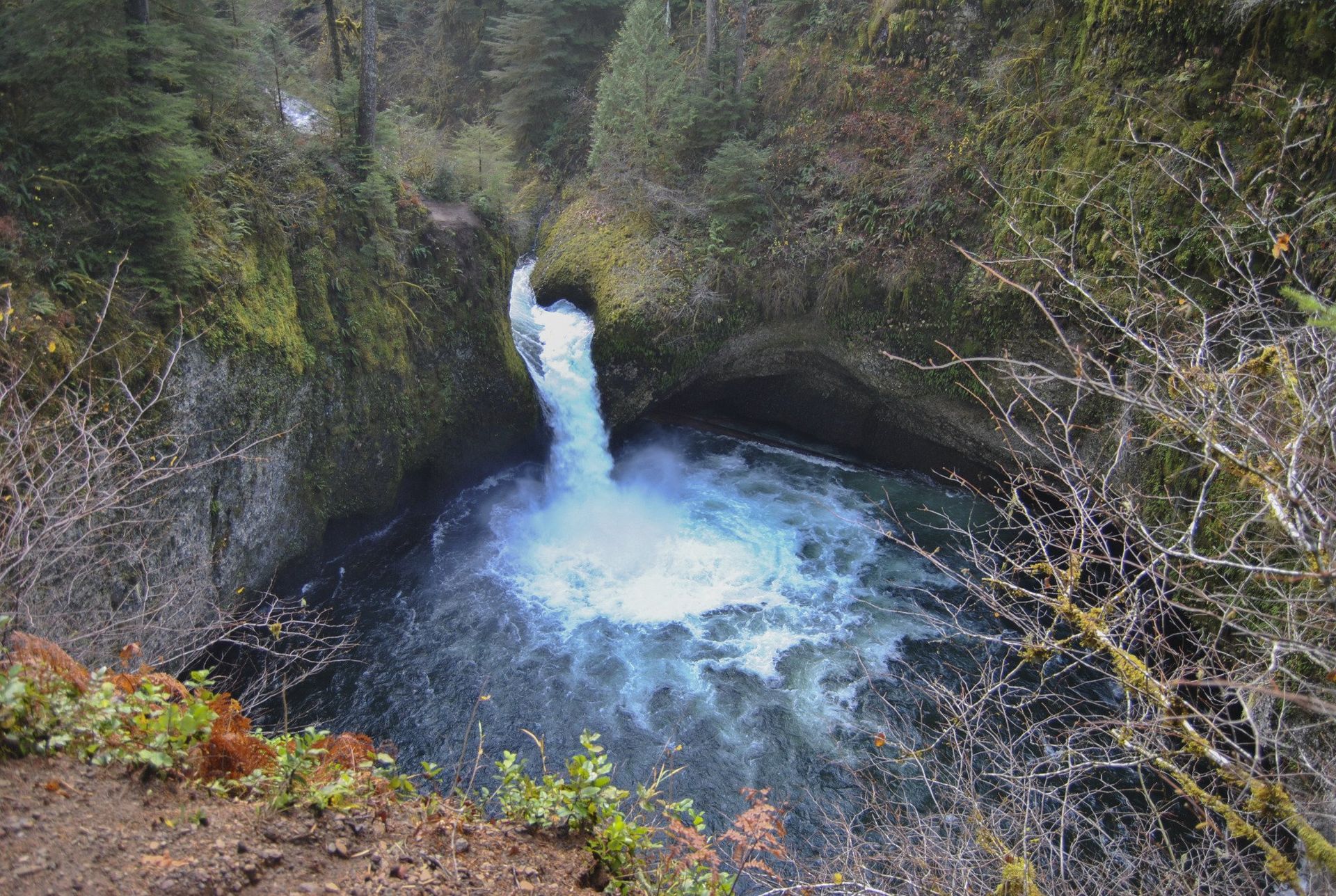 Waterfall cascading into a pool surrounded by mossy cliffs and forest.