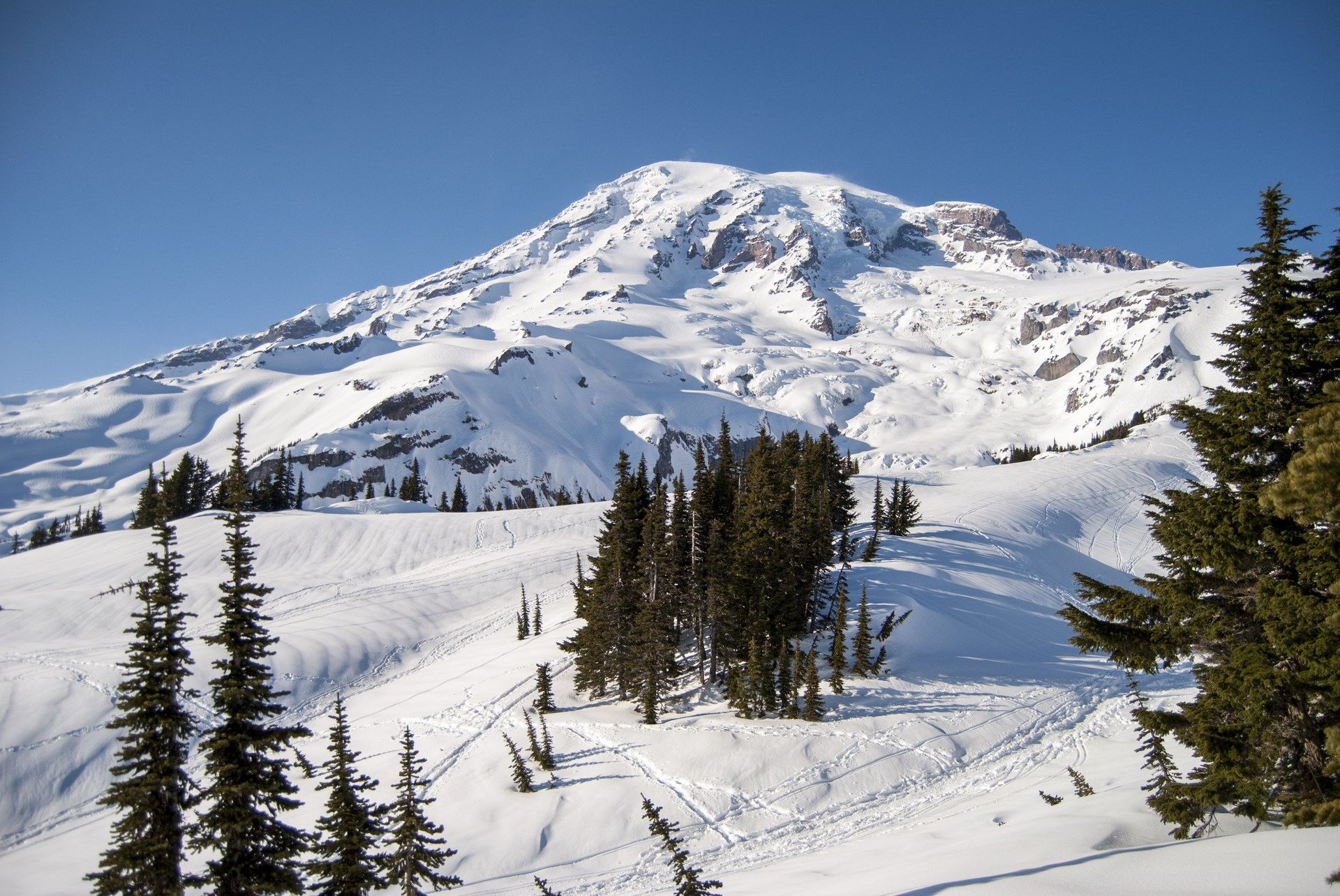 Snow-covered mountain under a clear blue sky, with evergreen trees in the foreground.
