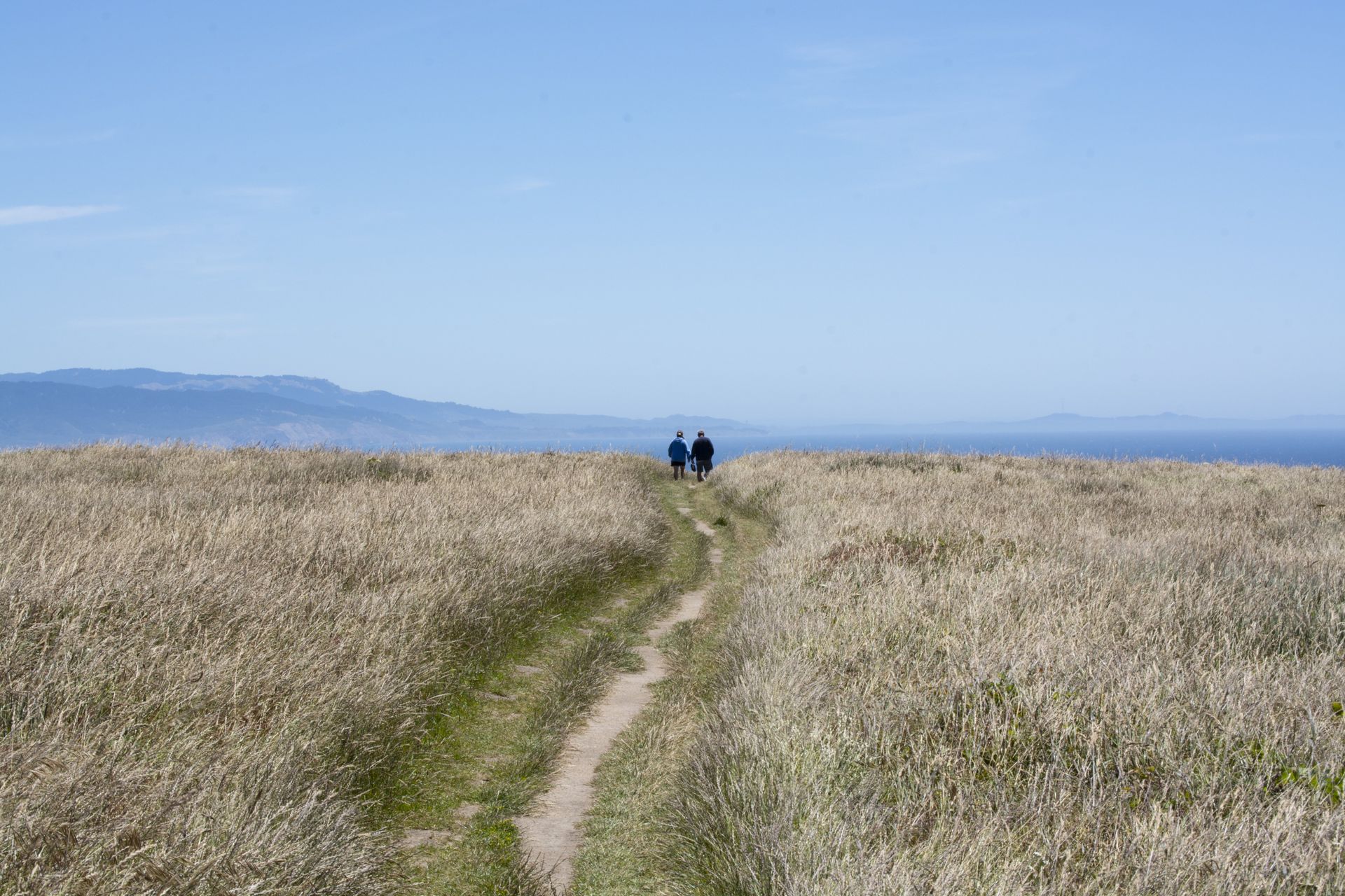 Two figures walking on a path through a field, ocean and sky in background.