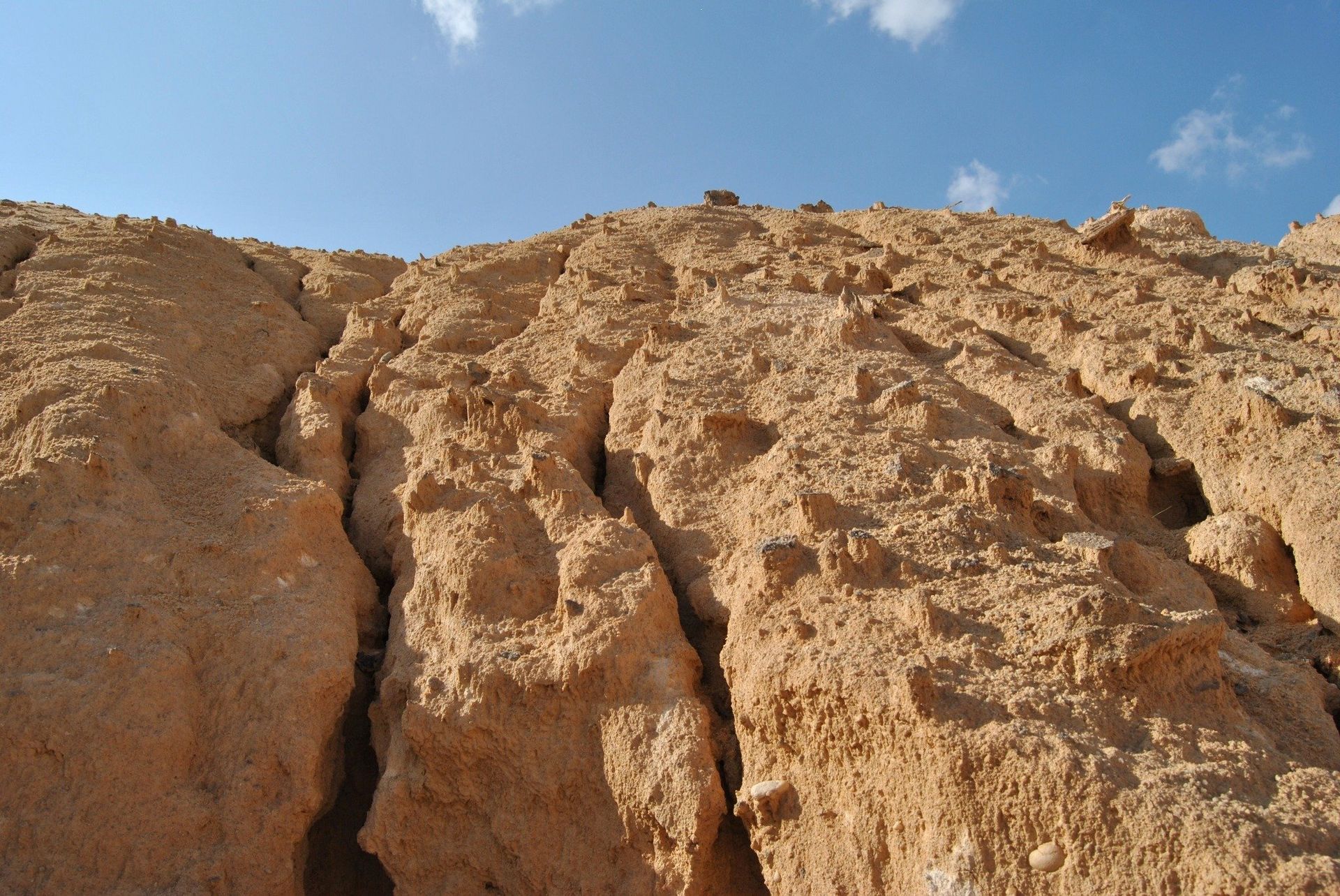Eroded sandstone cliff face under a blue sky; cracks and crevices visible.
