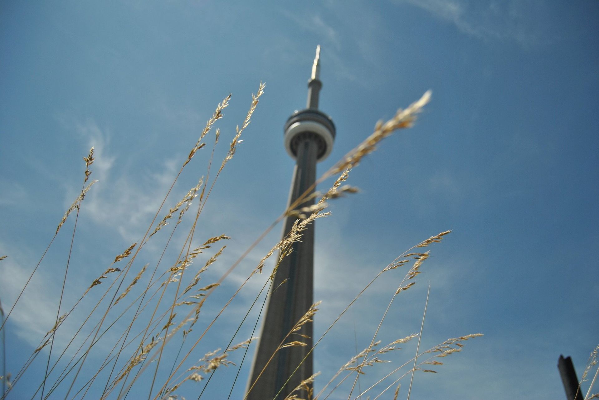 CN Tower, a tall concrete structure, against a blue sky, viewed from below with dry grass in the foreground.