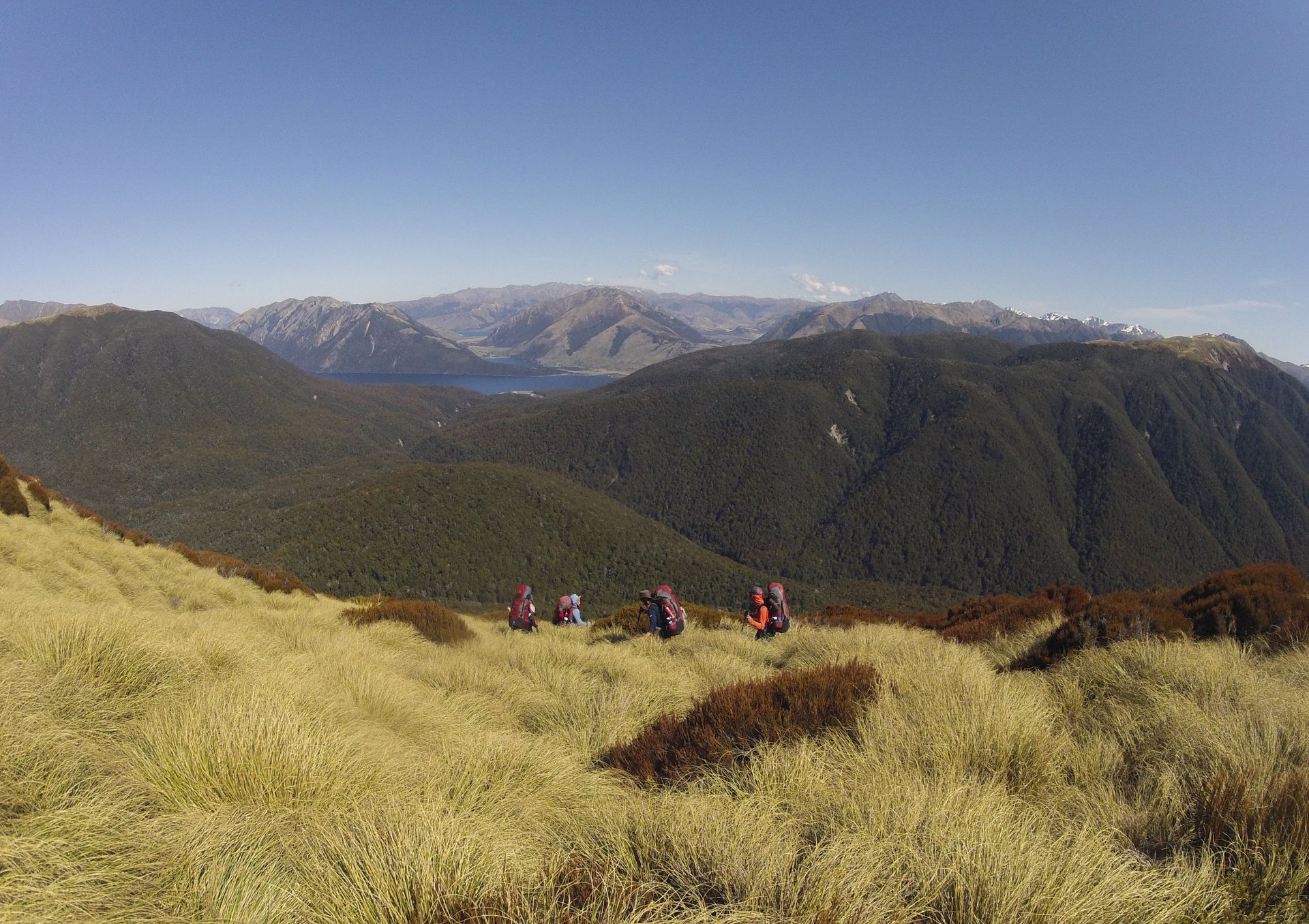 Hikers traverse a grassy slope with a mountain range in the background under a blue sky.
