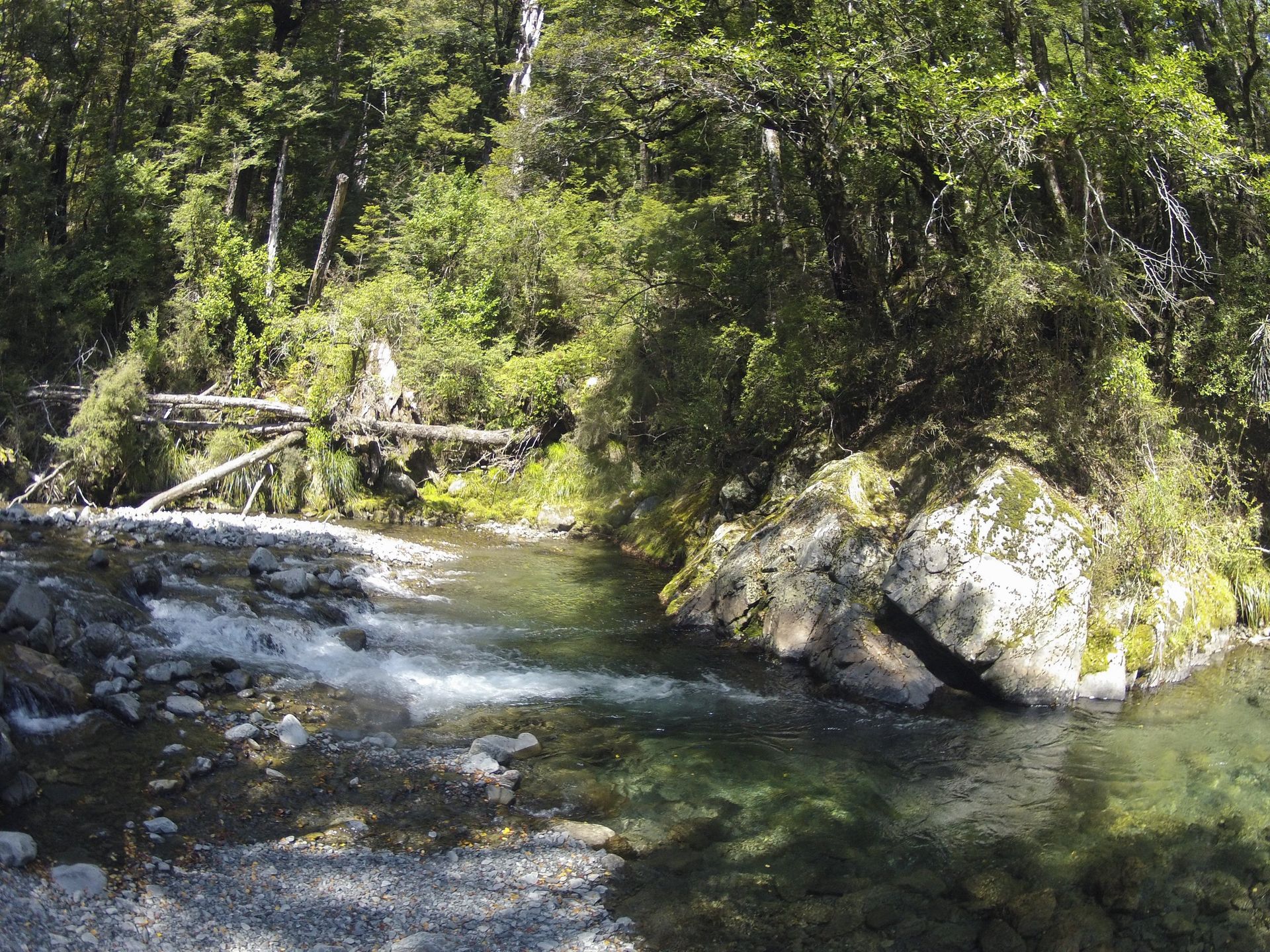 A clear river flows through a rocky bed, surrounded by lush green trees and foliage.