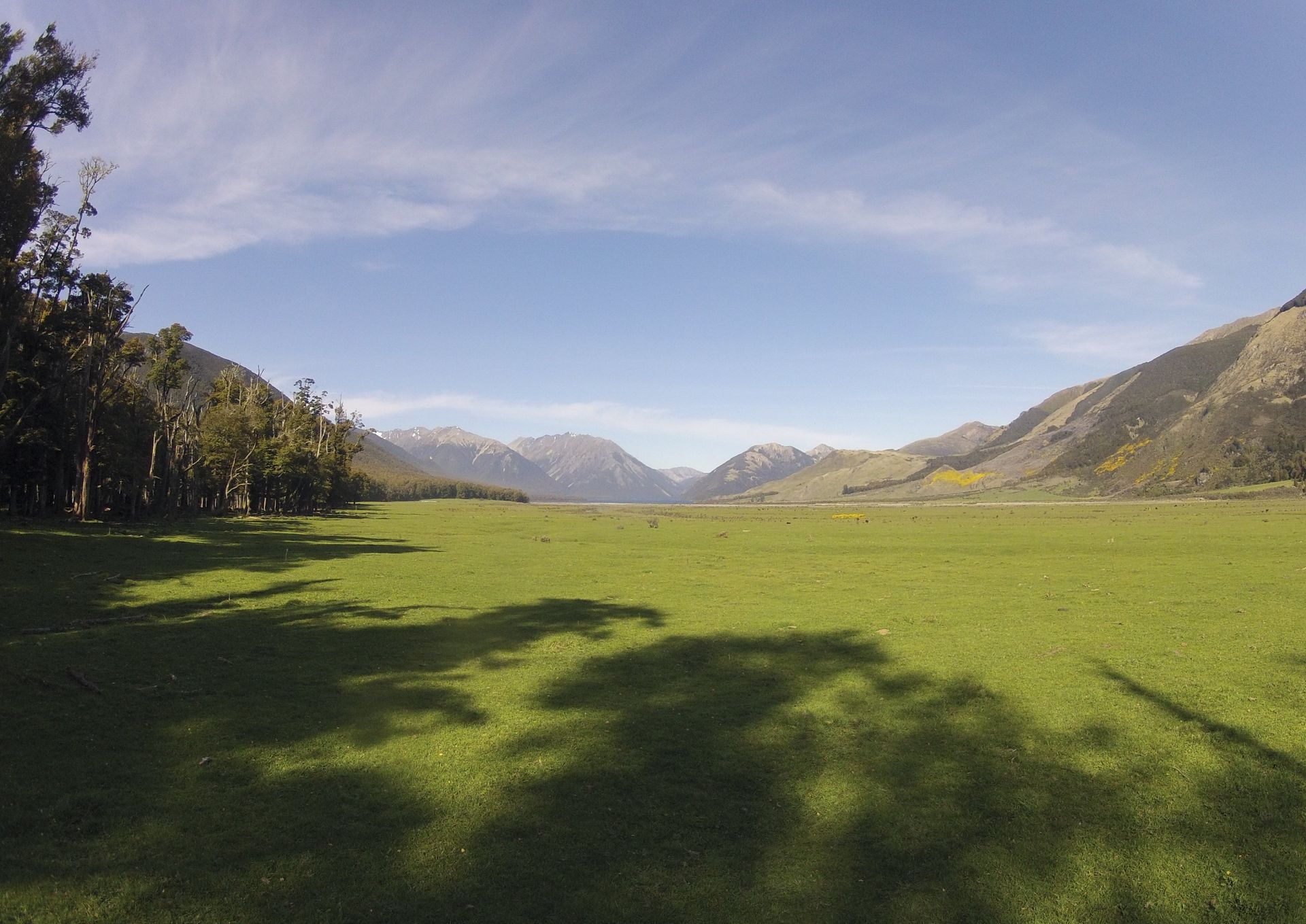 Green field with trees and mountains under a blue sky. Sunlight casts shadows.