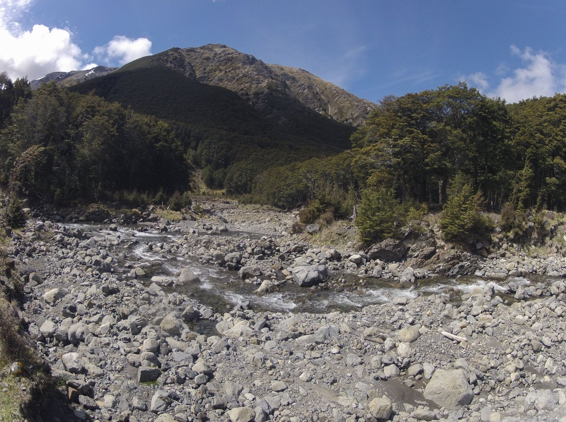 Rocky riverbed with flowing water, leading towards a forested hillside and a distant mountain peak under a blue sky.