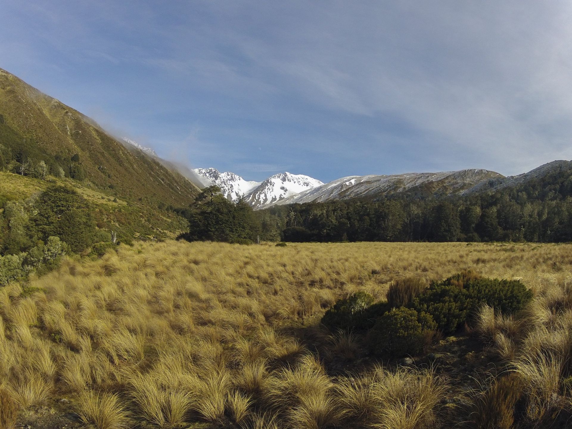 Grassy valley with mountains in the background, some covered in snow. Sky is blue with white clouds.