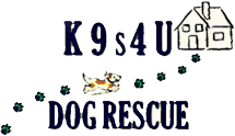 K9s4U Dog Rescue K9s4U Dog Rescue