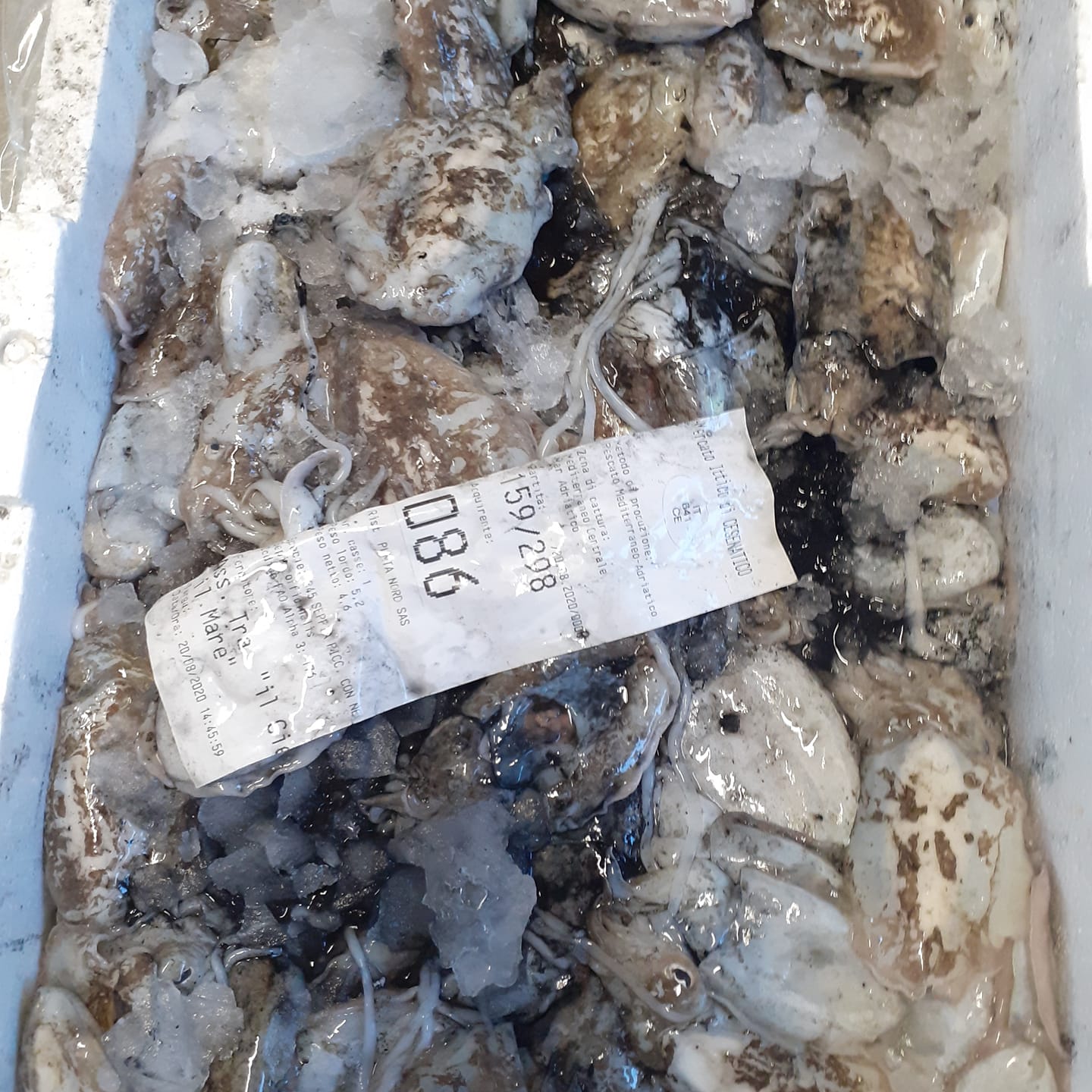 Pesce fresco di Cesenatico acquistato al mercato