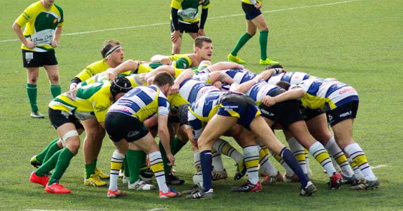 Rugby players on the field