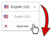 Switch Language