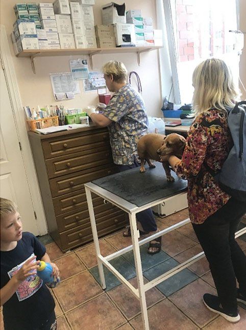 Slokas veterinārā aptieka