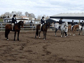 Horse riding - Denny, Larbert, Falkirk, Grangemouth, High Bonnybridge, Jawcraig, Banknock - Hayfield Riding School - Riding Horse riding - Denny, Larbert, Falkirk, Grangemouth, High Bonnybridge, Jawcraig, Banknock - Hayfield Riding School - Riding