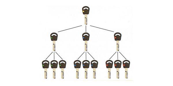Photo of a master key with many smaller keys beneath it