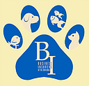 Business Insurers