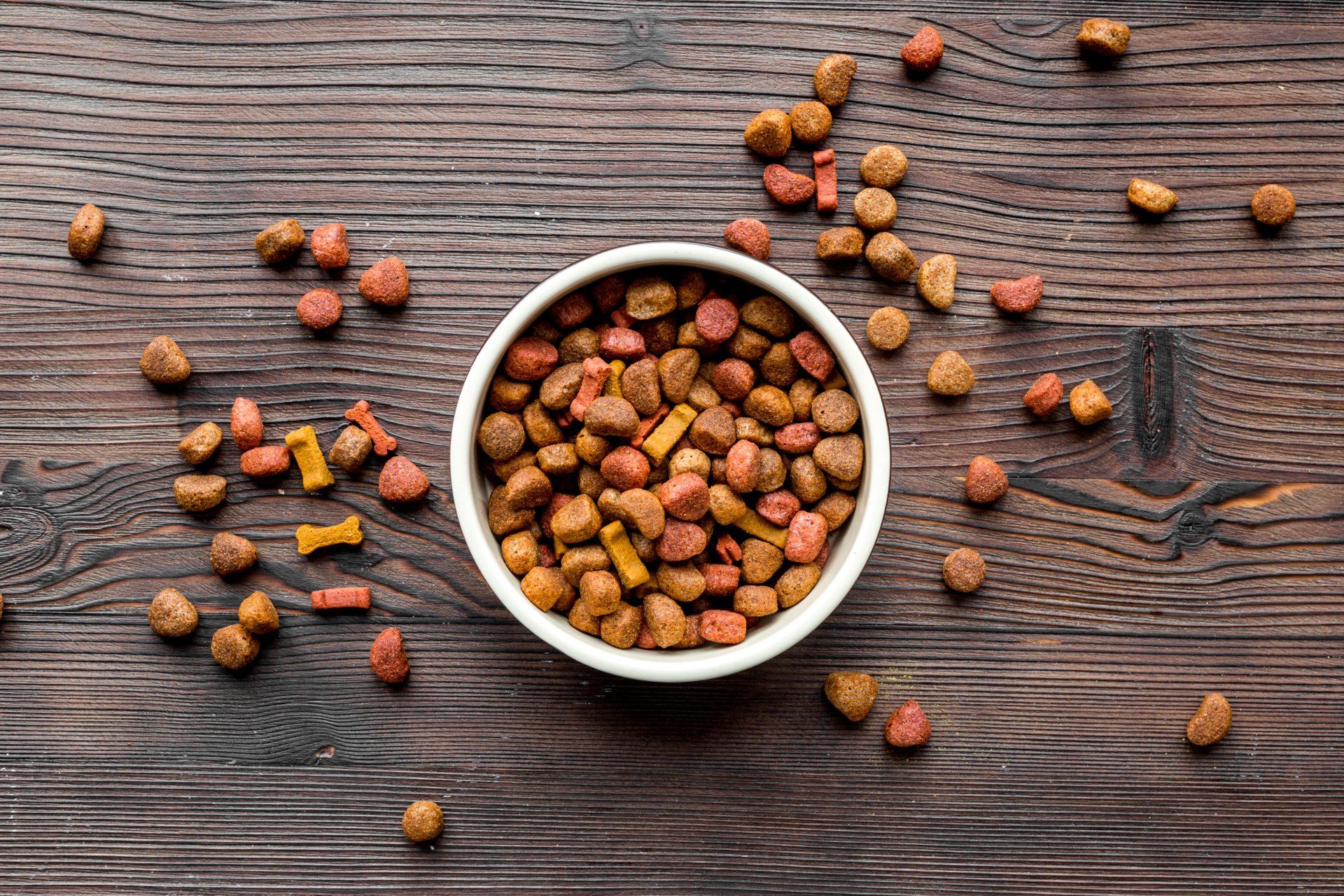dog food in a bowl on a wooden table