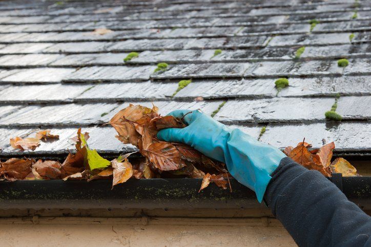 cleaning leaves in gutter