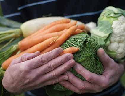 Vegetables in hand - Produce Market in San Bernardino, CA Vegetables in hand - Produce Market in San Bernardino, CA