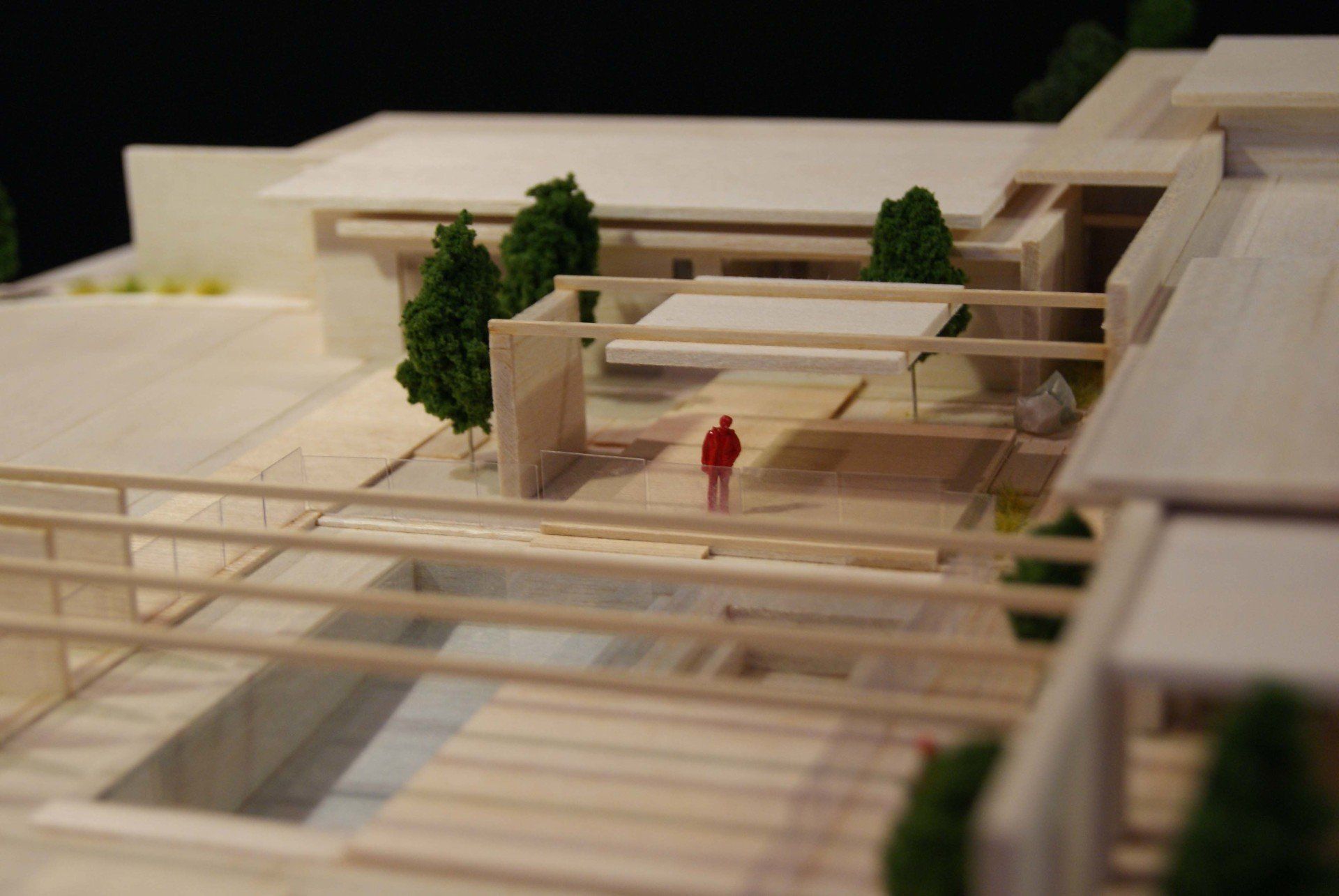 Large open spaces in the backyard