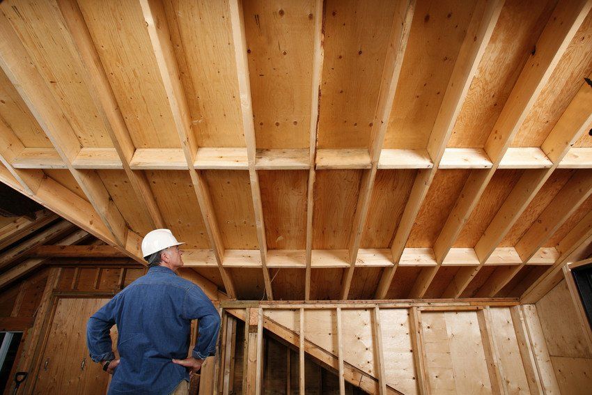 Timber inspection
