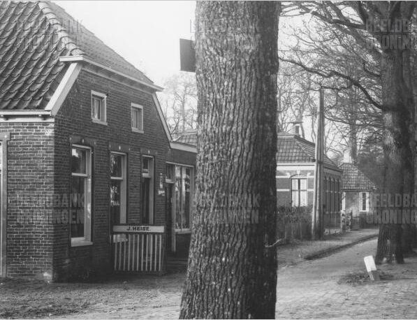 Zwart-witfoto van kleine bakstenen huisjes langs een met bomen omzoomd onverhard pad.