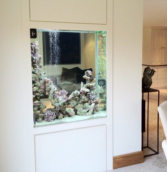 Pond & aquarium