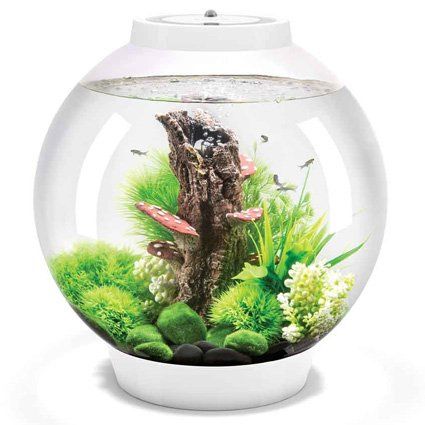 Classic Aquariums