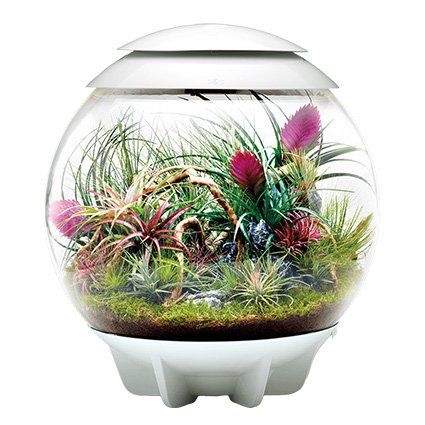 BiOrb Aquariums