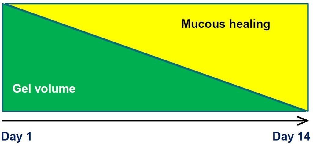 Gastrointestinal medical supplies in New Zealand