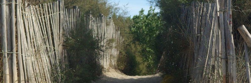 Un chemin de sable menant à la plage