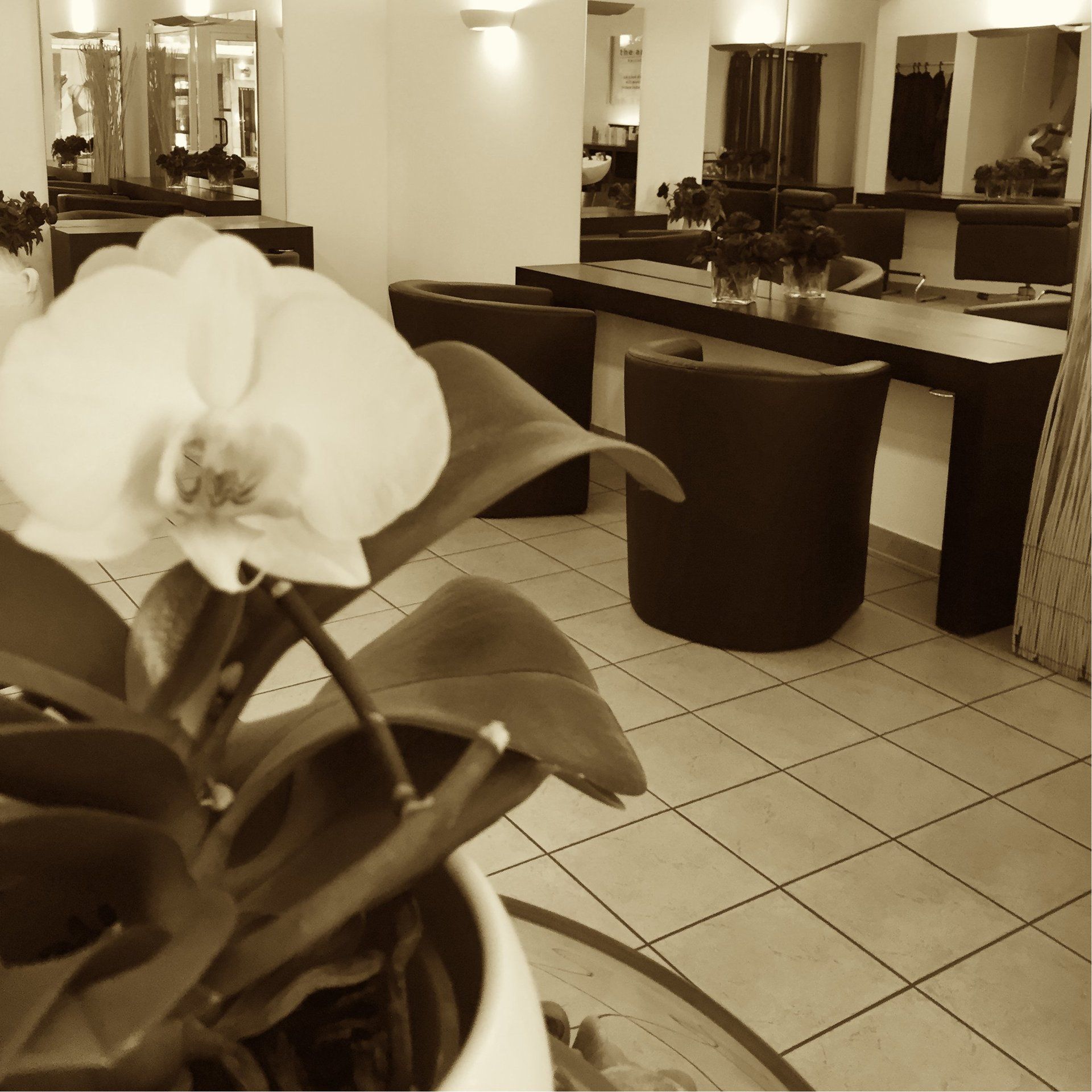 Bildergalerie Salon
