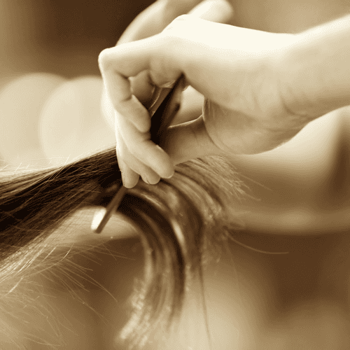 Bildergalerie Frisuren Kreationen