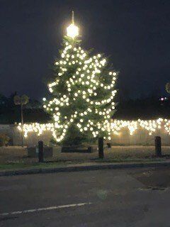 Christmas Tree in Hilcote Christmas Tree in Hilcote