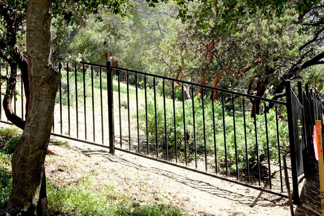 A black metal fence is surrounded by trees and grass.